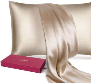 1PC Champagne Queen Size 20"x30" Lacette Silk Pillowcase for Hair and Skin, 22 Momme 6A Soft Silk Pillow Case with Hidden Zipper, Gift Box