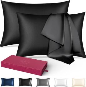 (2 Pack Black,Standard 20"x26")Silk Pillowcase for Hair and Skin