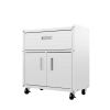 Manhattan Comfort Fortress Textured Metal 31.5" Garage Mobile Cabinet with 1 Full Extension Drawer and 2 Adjustable Shelves in White