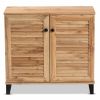 Coolidge Modern and Contemporary Oak Brown Finished Wood 2-Door Shoe Storage Cabinet