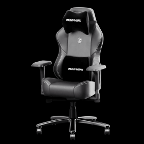 Morphling Gaming Chair with Dynamic Lumbar Support and Thicken Seat (Type: General)