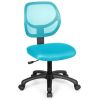 Low-back Computer Task Office Desk Chair with Swivel Casters for Kids