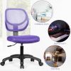 Low-back Computer Task Office Desk Chair with Swivel Casters for Kids